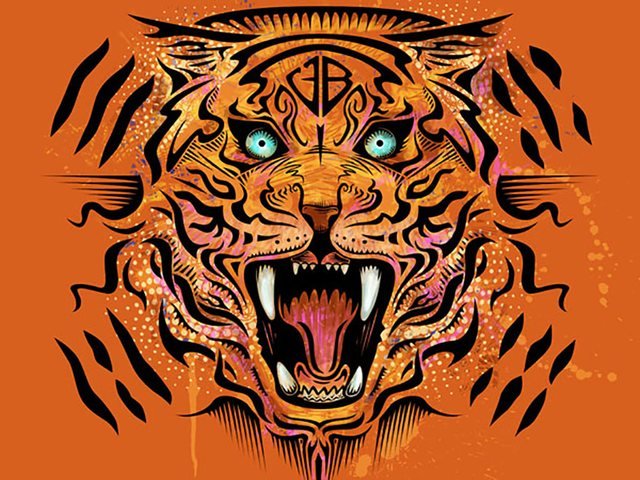 Tiger Growl — illustration
